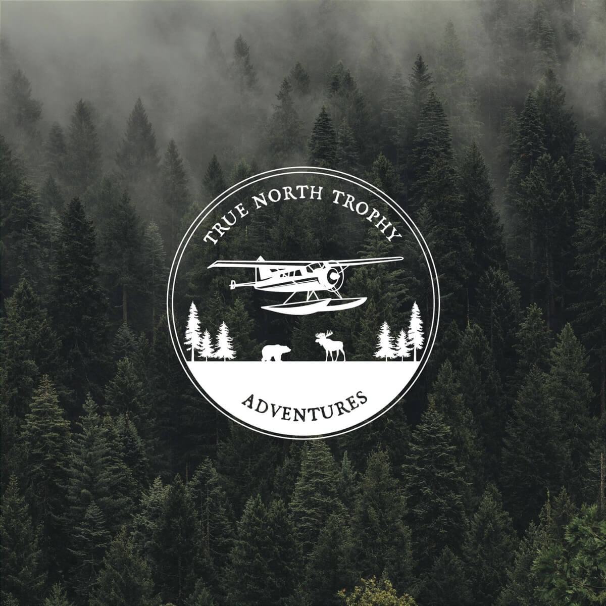 Where We Are Located